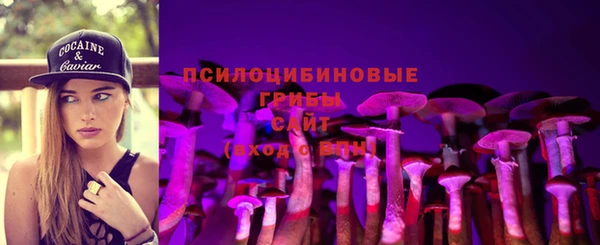 соль ск Арсеньев