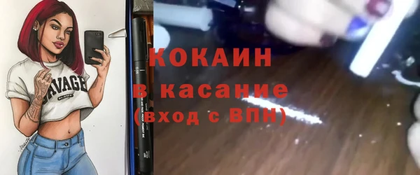 мяу мяу мука Аркадак