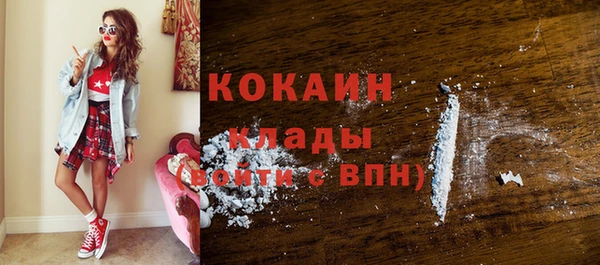 соль ск Арсеньев
