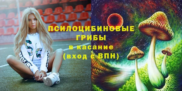мяу мяу мука Аркадак
