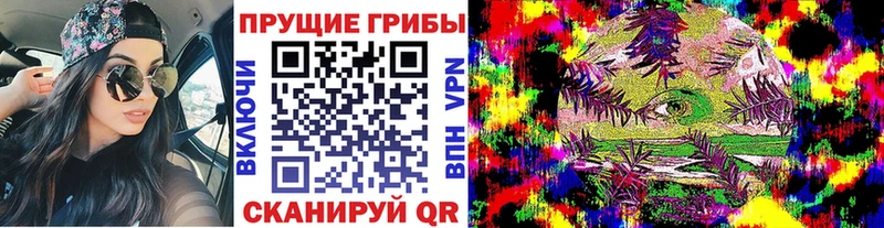 Галлюциногенные грибы Psilocybine cubensis  hydra ONION  Аркадак 